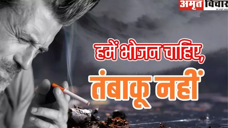 World No Tobacco Day 2023 : अरे यार… चार दाने लाओ, हम भी खा के देखें कैसा लगता है, युवा शौक में खा रहे तंबाकू 