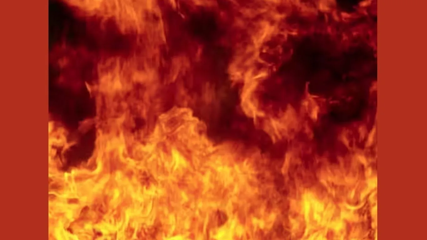 Nainital News : संदिग्ध परिस्थितियों में लगी मेडिकल स्टोर में आग, लाखों का सामान जलकर राख