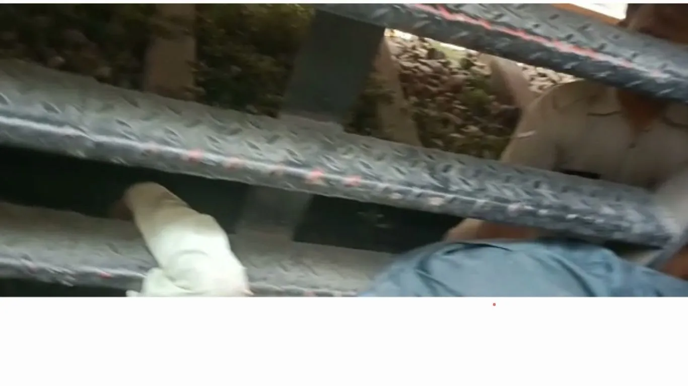 Lalkuan News : चलती ट्रेन में चढ़ने के दौरान यात्री गिरकर गम्भीर रूप से घायल, इलाज जारी