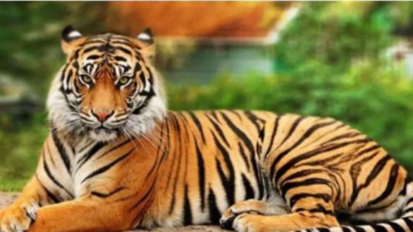 Uttarkashi News : घास काटने गई महिला को गुलदार ने बनाया अपना शिकार, दहशत में लोग 