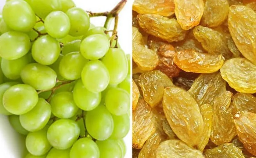 कम खर्च में घर पर अंगूर से बनाएं किशमिश, यहां जानें इसे बनाने का तरीका