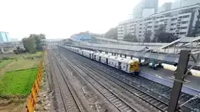 कर्नाटक: मालगाड़ी की चपेट में आने से 17 भैंसों की मौत