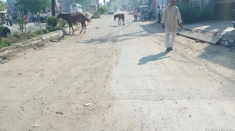 बरेली: ठेकेदार ने बनाई अधूरी सड़क, मिनी बाइपास रोड पर सफर और खतरनाक