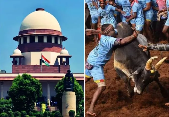 सुप्रीम कोर्ट ने ‘जल्लीकट्टू’ को मंजूरी देने वाले कानून की वैधता रखी बरकरार 