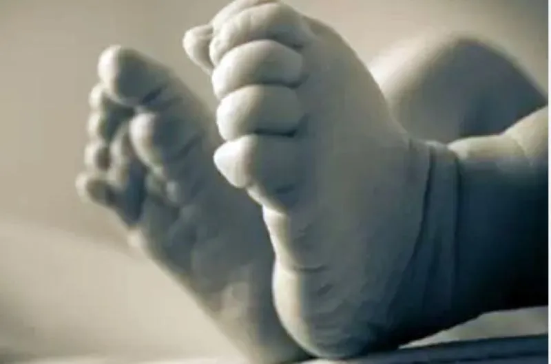 रामनगर: सिंचाई गूल में नवजात का शव मिलने से सनसनी  