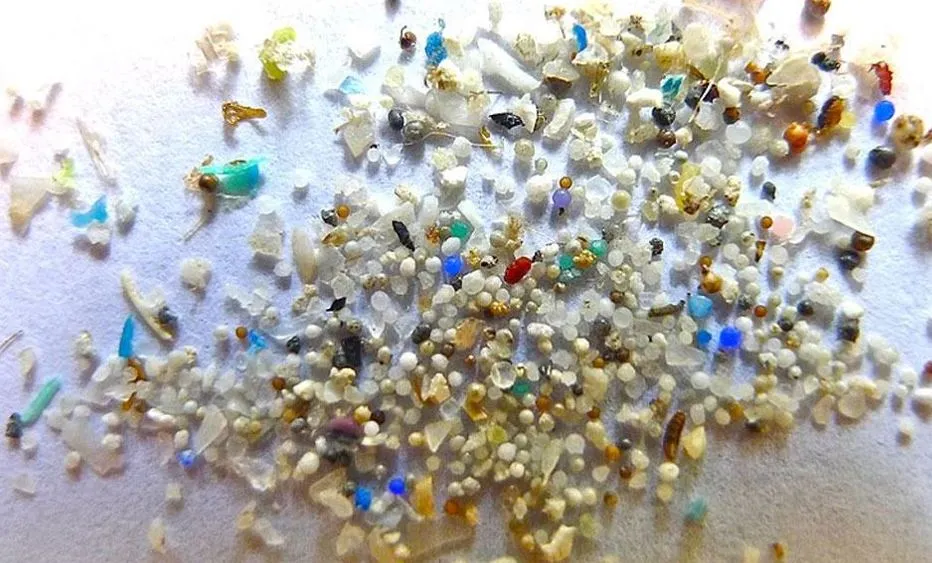 ‘माइक्रोप्लास्टिक’ का पता लगाने के लिए ‘डिफ्यूज रिफ्लेक्शन’ पद्धति के इस्तेमाल पर जोर 