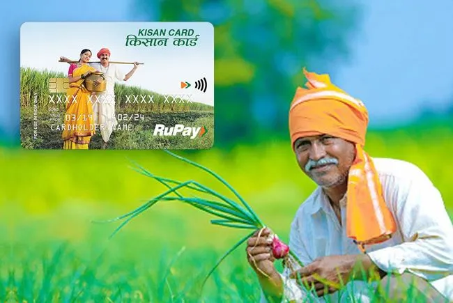 बरेली: तीन साल में 18,629 पशुपालकों ने किया आवेदन, 1129 के बने सिर्फ क्रेडिट कार्ड 