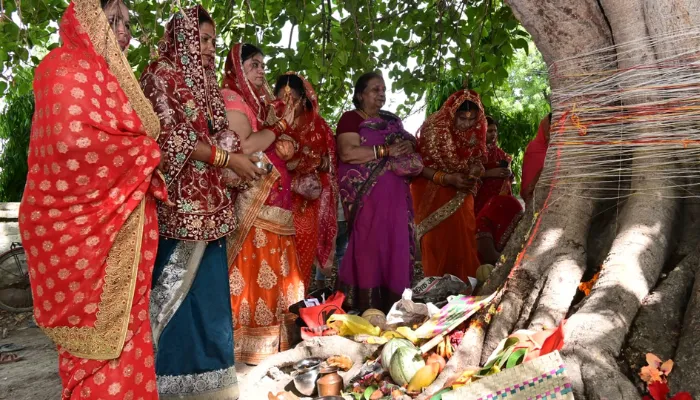 व्रत सावित्री 2023 समाचार 2