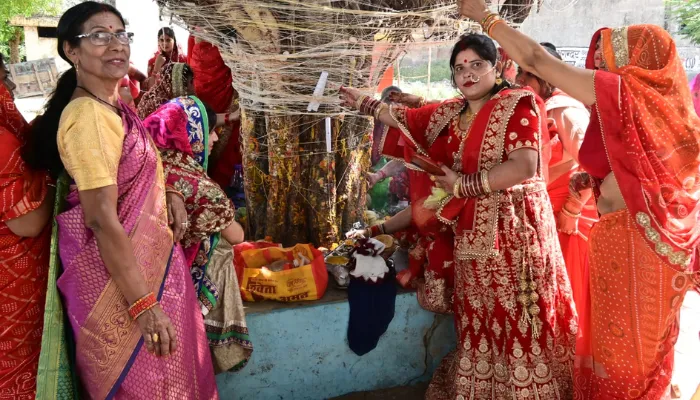 व्रत सावित्री 2023 समाचार