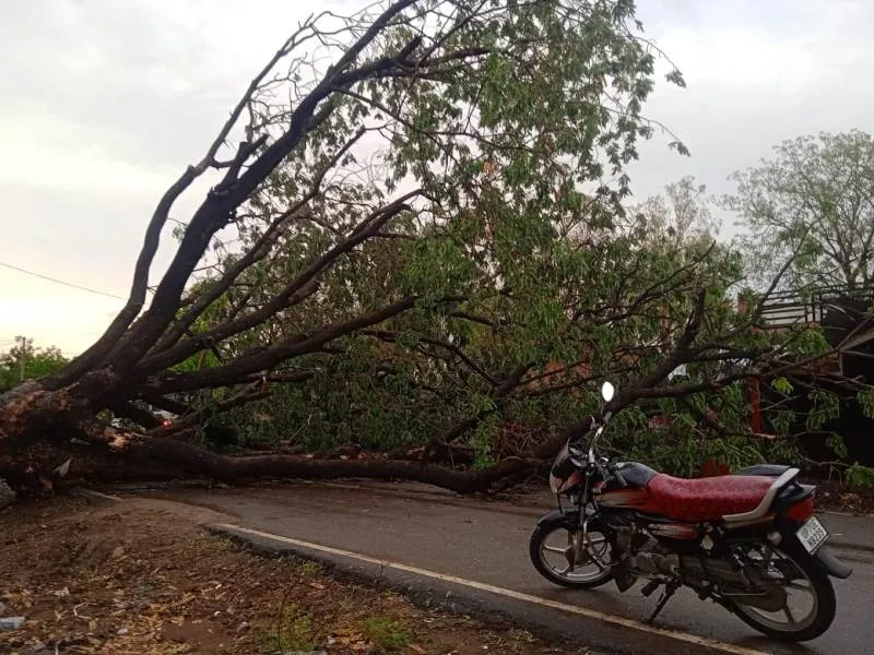 प्रयागराज : शहर में दिखा चक्रवाती तूफान, अचानक मौसम ने ली अंगड़ाई