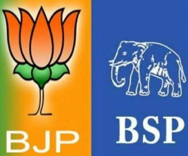 संभल: आठ में से पांच निकायों पर भाजपा का कब्जा, बसपा का सूपड़ा साफ