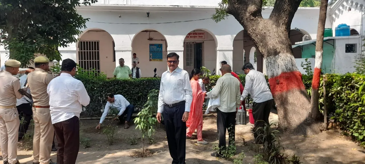 बरेली: सांस लेने के लिए पेड़ जरूरी- डीएम