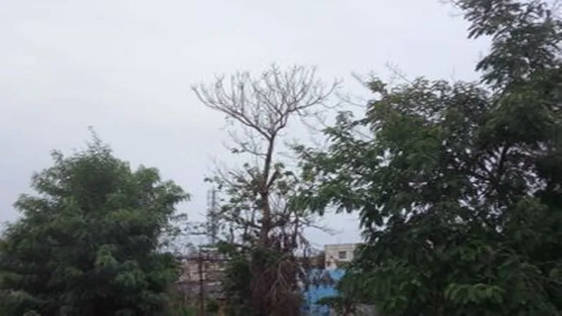 Lucknow Weather: लखनऊ में बारिश ने गर्मी और लू से लोगों को दी राहत
