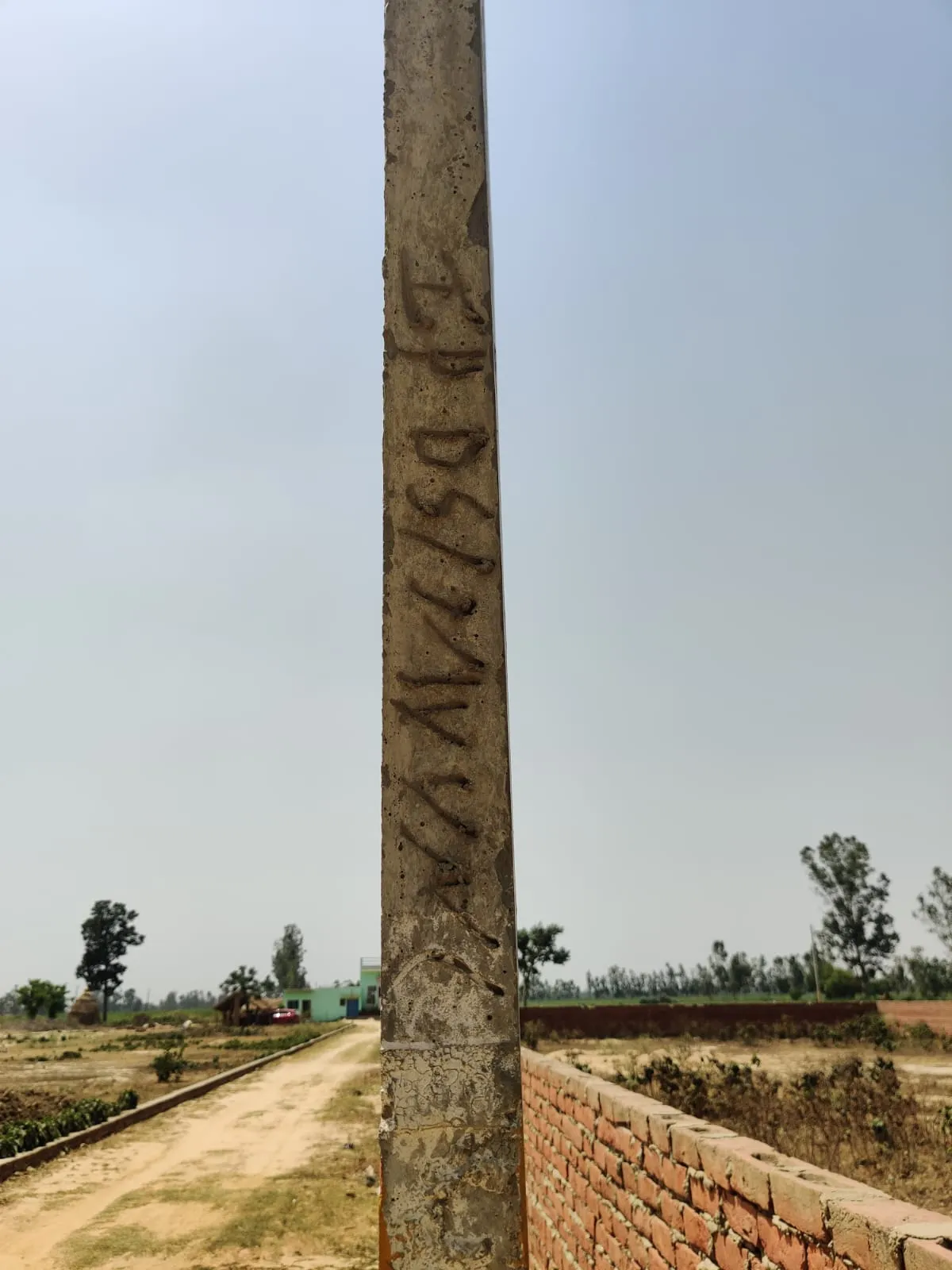 बरेली: बिना अनुमति के पारस बलिया में बन रही कॉलोनी में लगा दिए सरकारी पोल