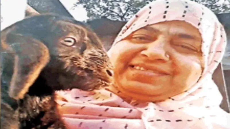 प्रयागराज : आयशा नूरी बकरीद मनाने पहुंची दिल्ली, बकरे के साथ फोटो वायरल