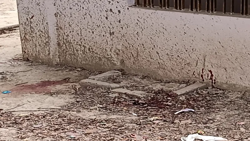 Kanpur Breaking News : कब्रिस्तान में महिला की ईंट-पत्थर से कूच कर हत्या