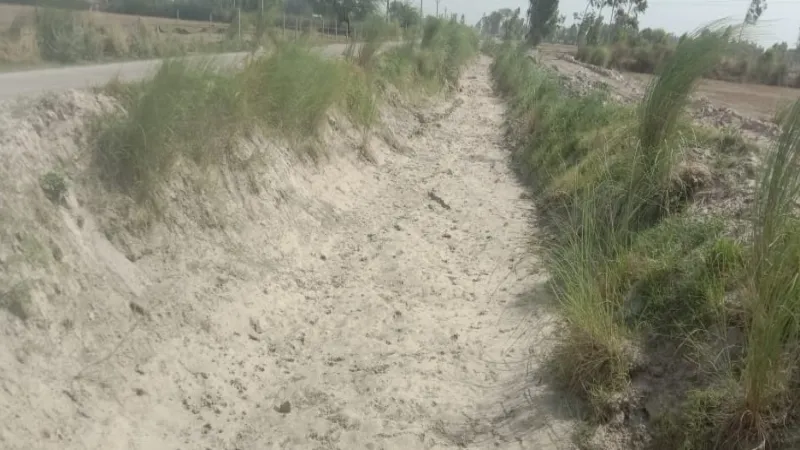 रायबरेली : जगतपुर रजबहा और पांच माइनरों में उड़ रही सिल्ट, परेशान हैं किसान  