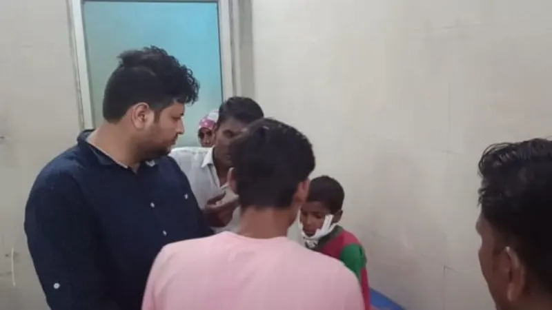 बहराइच में कुत्तों के झुंड ने बालक पर किया हमला, बुरी तरह नोचकर किया घायल