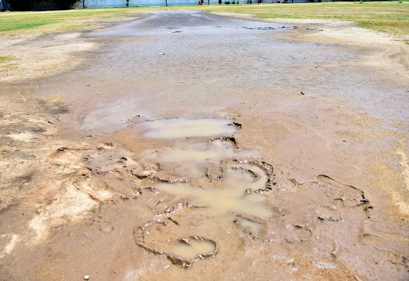  मुरादाबाद : सोनकपुर स्टेडियम की क्रिकेट पिच खस्ताहाल, गेंदबाजों को अभ्यास में हो रही परेशानी