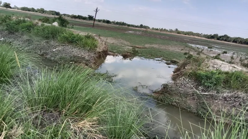 रायबरेली : बेला पोषक नहर की कटी पटरी , लबालब हुए खेत 