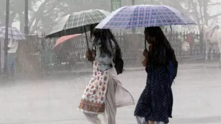 रुद्रपुर: तराई में बारिश के बाद बढ़ी उमस, लोग परेशान