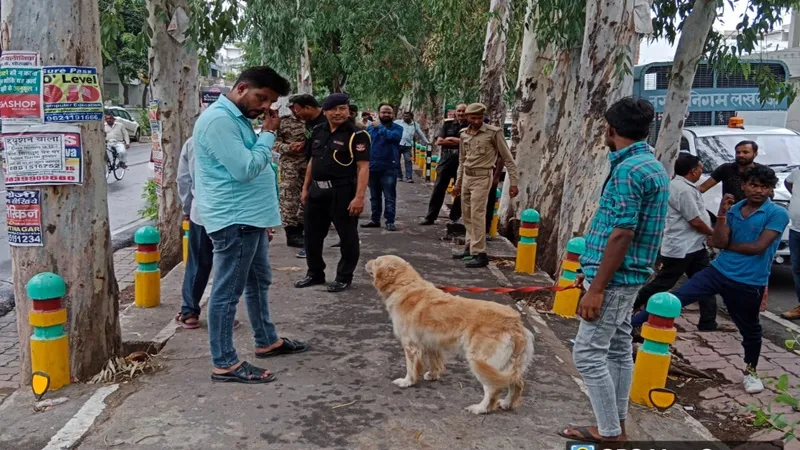 लखनऊ नगर निगम बिना लाइसेंस श्वान पालने वालों के खिलाफ चलाया अभियान, वसूला जुर्माना