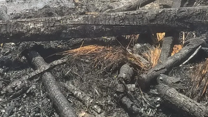 Bahraich Breaing News : आग लगने से बालक की जलकर मौत, बहन झुलसी