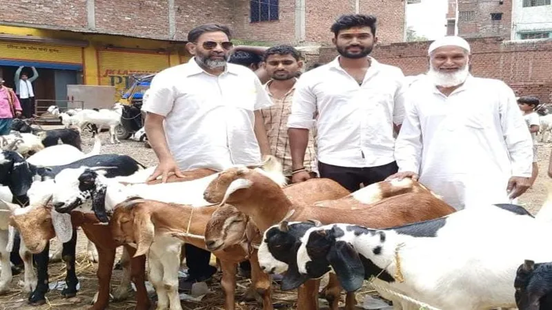 प्रयागराज : तिलक लगाकर बकरा बेचने मंडी पहुंचा युवक, लोगों ने उसे घेरा, फिर..