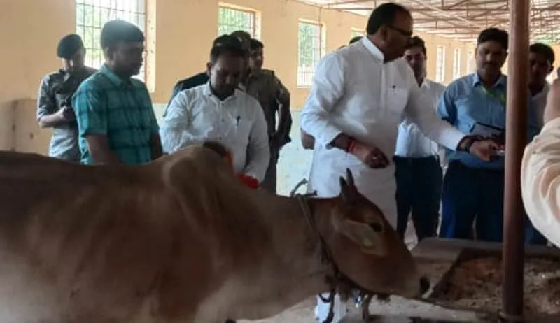 अयोध्या : रुदौली की कान्हा गौशाला का डिप्टी सीएम ने किया निरीक्षण