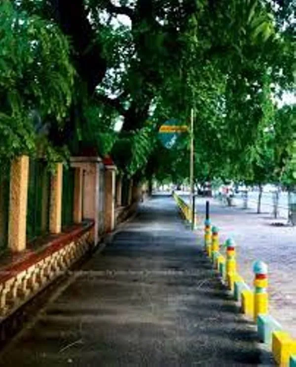 लखनऊ : नीदरलैंड की तर्ज पर शहर में बनाये गये 28 साइकिल ट्रैक चढ़े अतिक्रमण की भेंट