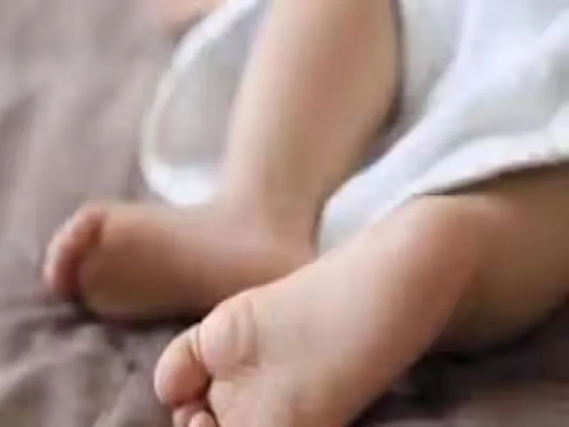 अयोध्या : झाड़ी में मिला नवजात, चिकित्सक ने किया मृत घोषित