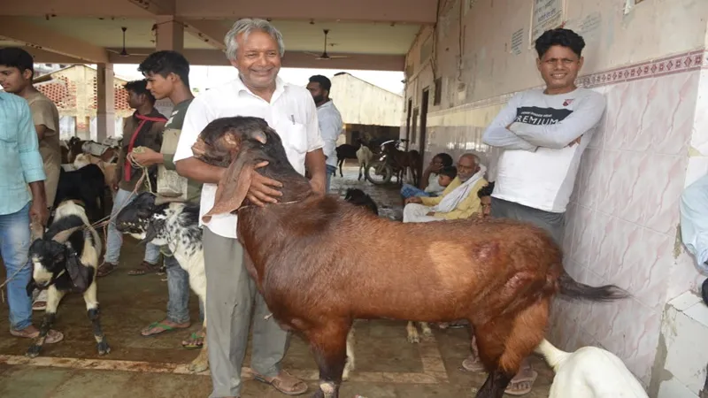 अयोध्या : ईद-उल-अजहा को लेकर गुलजार हुई बकरा मंडी, उमड़ रहे खरीदार
