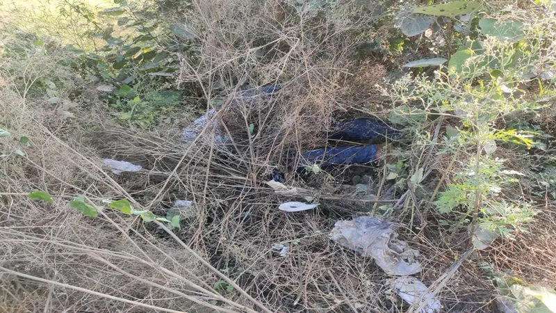 बहराइच : झाड़ियों में पड़ी मिली अज्ञात युवक की लाश, जीआरपी ने शव को पोस्टमार्टम लिए भेजा