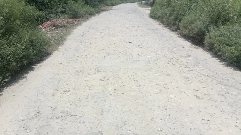 अयोध्या: कोंधा मार्ग पर छह किलोमीटर की सड़क में 36 से अधिक गड्डे, पैदल चलना मुश्किल