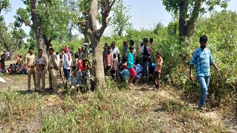बहराइच: जंगल में पेड़ से लटकता मिला बुजुर्ग का शव, जांच में जुटी पुलिस 