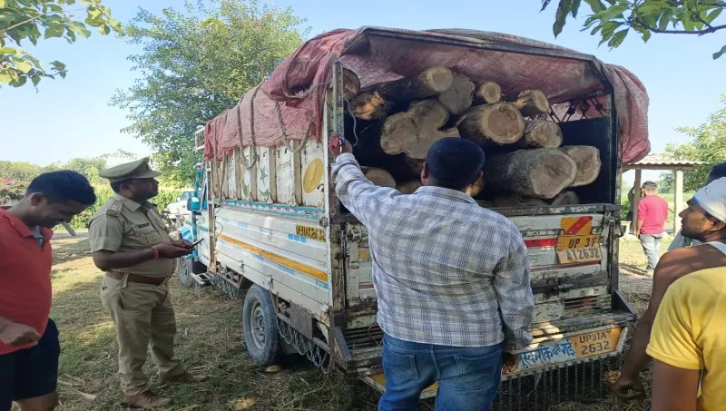 बहराइच: सागौन की बेशकीमती लकड़ी बरामद, वन कर्मियों ने कब्जे में लिया