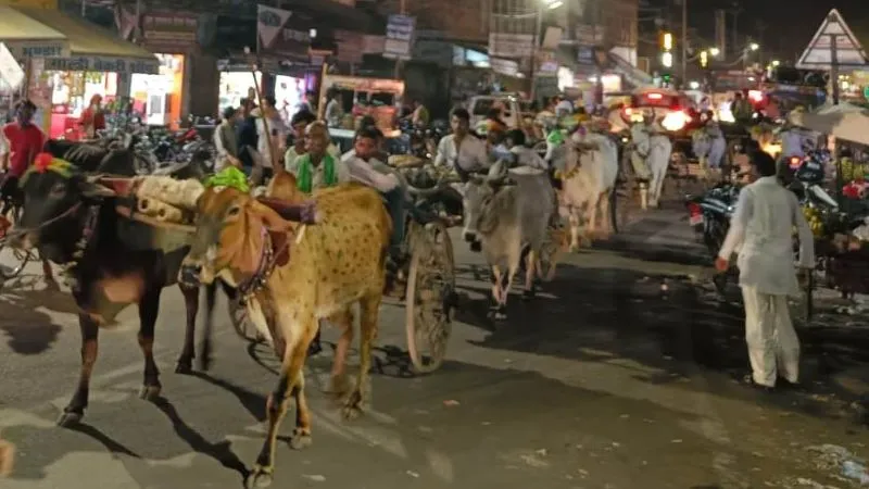 Banda: बैलगाड़ी से आई बारात, देखते रह गए लोग, दुल्हन भी उसी से हुई विदा, क्षेत्र में बनी चर्चा का विषय, पढें- पूरी खबर