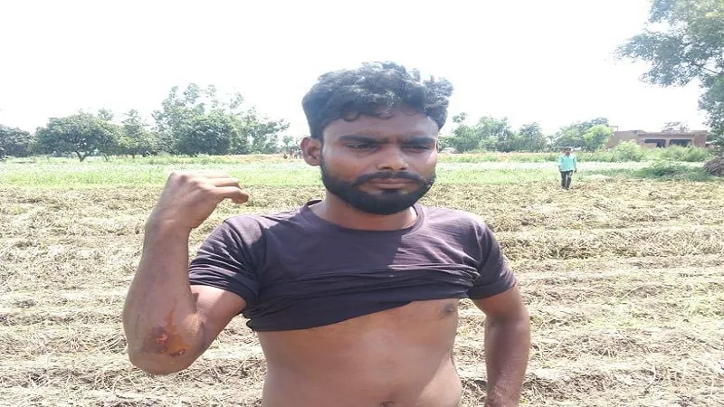 अमरोहा : सांड़ ने बरामदे में सो रहे पिता-पुत्र पर किया हमला