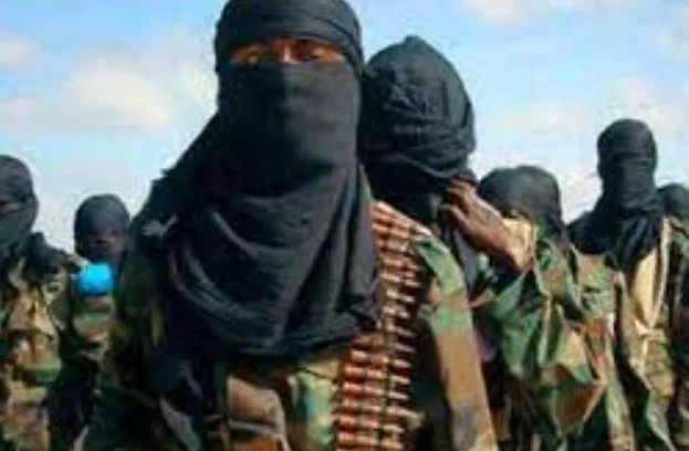 असम: आदिवासी उग्रवादी संगठन के प्रमुख और सदस्यों ने किया आत्मसमर्पण 