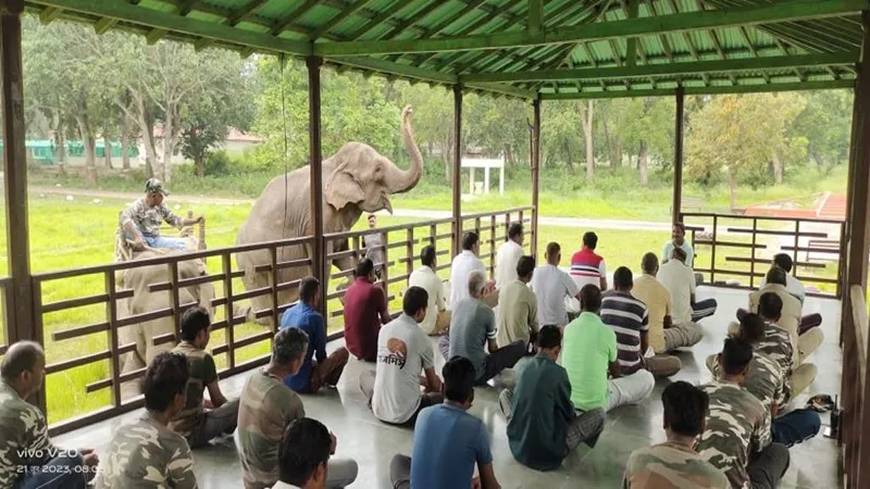 International Yoga Day 2023: हथिनी जयमाला और चंपाकली ने भी वन कर्मियों के साथ किया योगासन, देखें Video