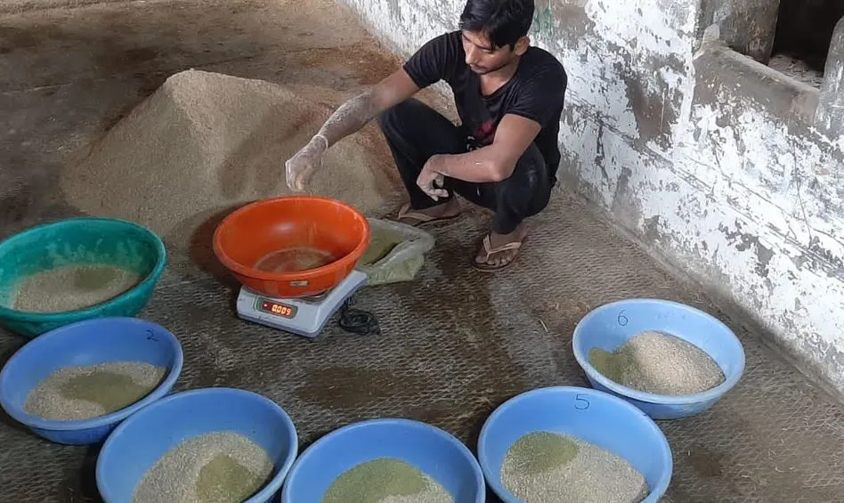 बरेली: दुधारू पशुओं में मीथन का उत्सर्जन घटाएगा मेट-लो