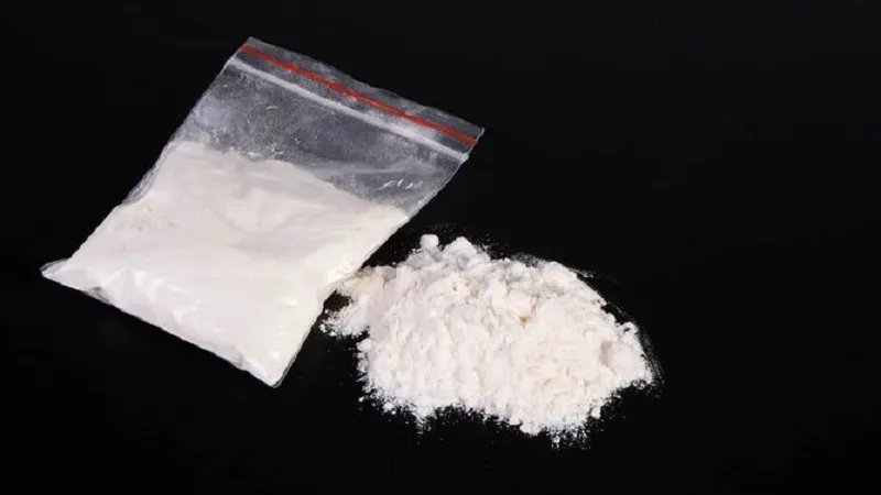 Australia में 800 किलोग्राम से अधिक कोकीन जब्त, तीन गिरफ्तार 