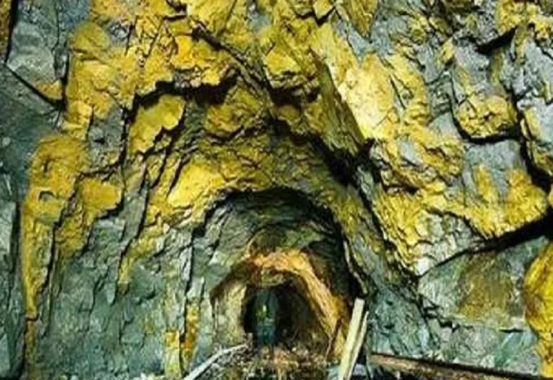 Gold mining : मेक्सिको के पूर्वी वेनेजुएला में सोने की खदान में भरा पानी, 12 श्रमिकों की मौत 