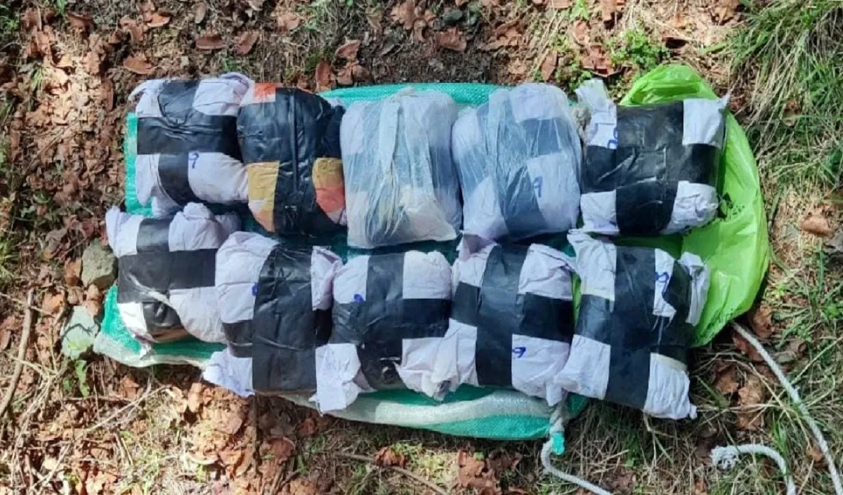 कश्मीर: पुंछ व राजौरी से मादक पदार्थ की बड़ी खेप बरामद, तीन लोग गिरफ्तार 