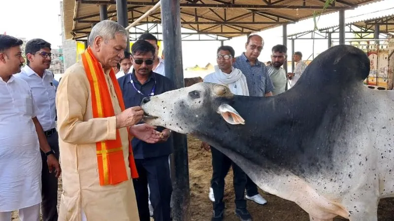 Etawah में गन्ना विकास मंत्री लक्ष्मी नारायण चौधरी ने गौशाला का किया निरीक्षण, गायों के स्वास्थ्य को देखकर खुशी की जाहिर