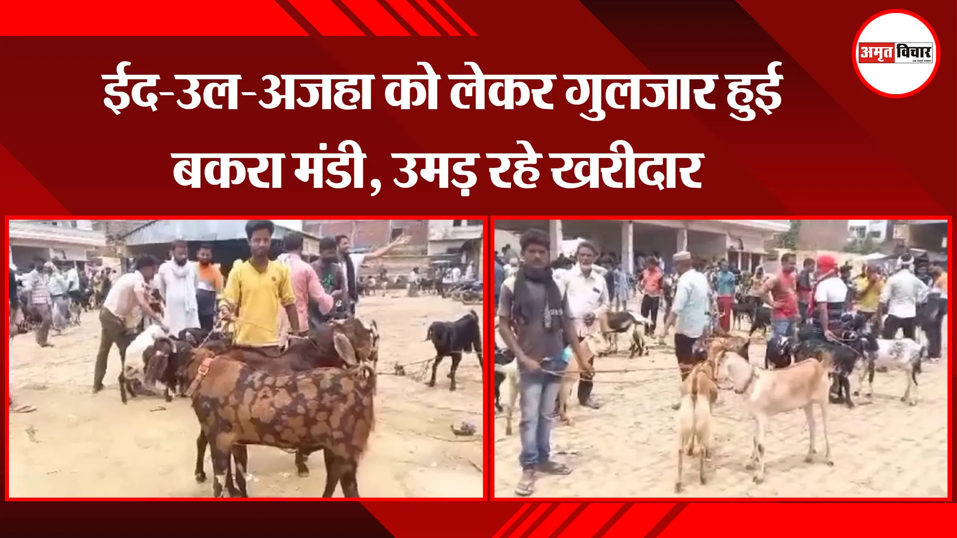 अयोध्या : ईद-उल-अजहा को लेकर गुलजार हुई बकरा मंडी, उमड़ रहे खरीदार