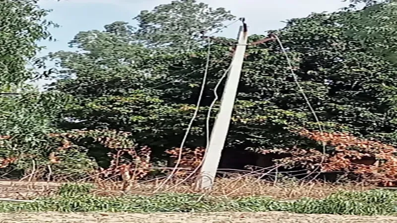 रायबरेली: काटते समय हाईटेंशन लाइन पर गिरा पेड़, बीस हजार की आबादी के सामने छाया बिजली संकट 