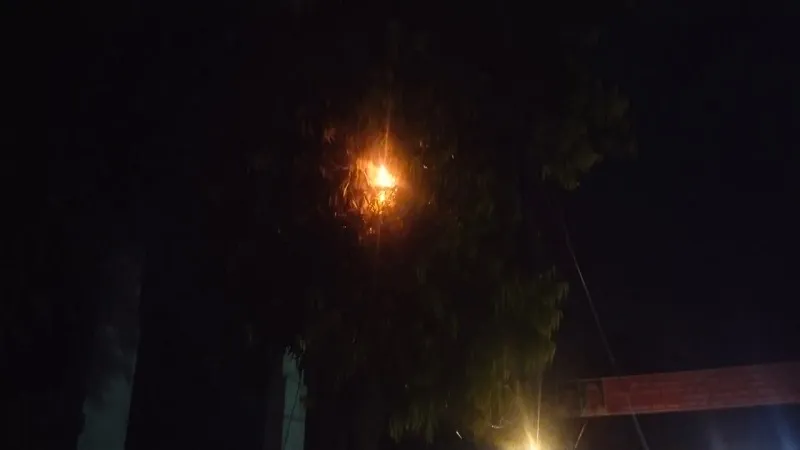 अमरोहा : विद्युत लाइन में फॉल्ट होने से तीन घंटे गुल रही कोतवाली की बिजली, भीषण गर्मी में लोगों को हुई परेशानी