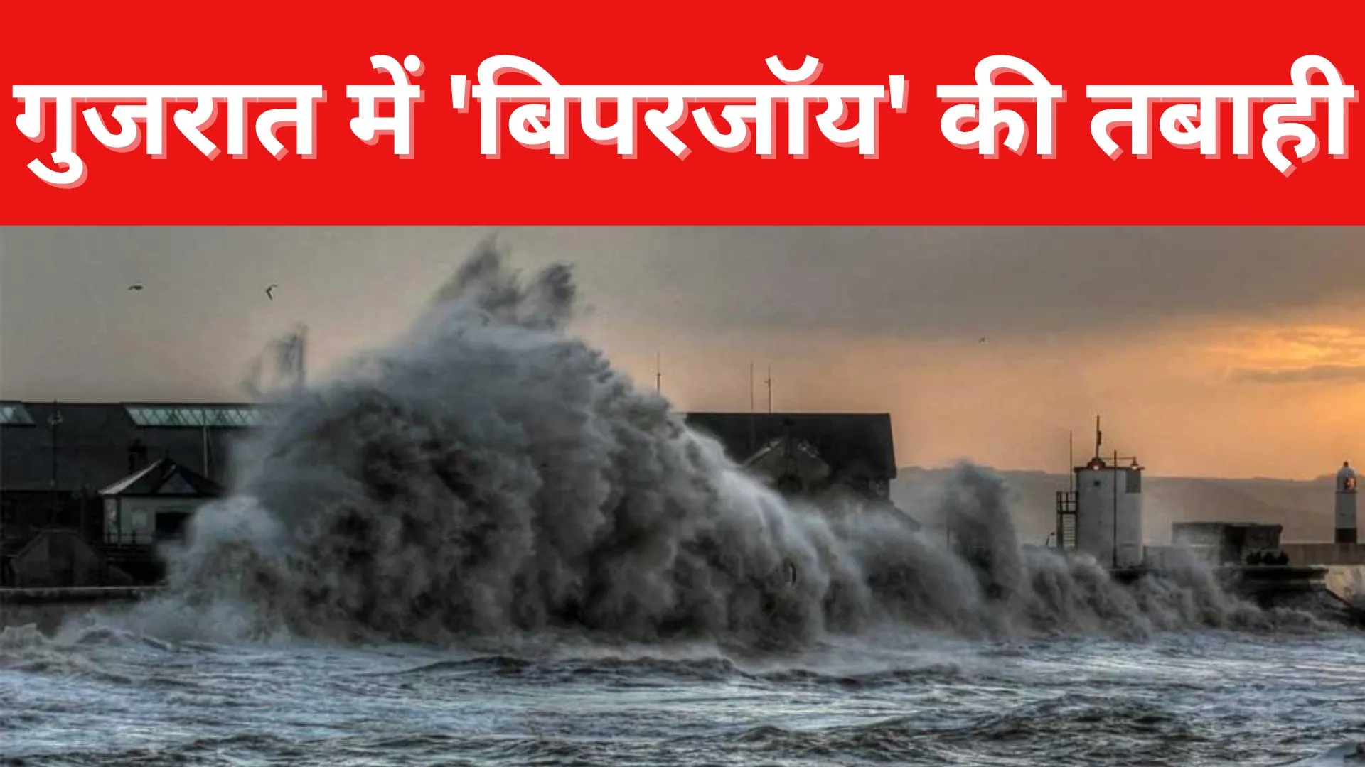 गुजरात में 'बिपरजॉय' की तबाही, कई बेजुवानों की मौत, 23 लोग घायल...सैकड़ों गांवों की बिजली गुल