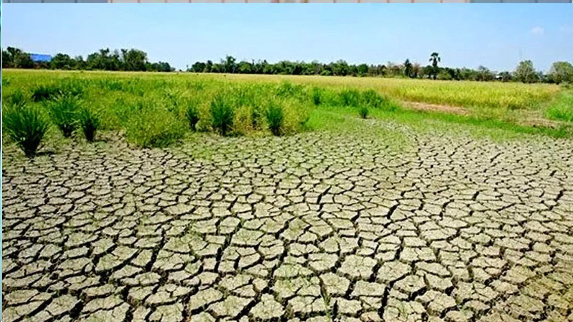 बरेली: अमेरिका की साफ्टवेयर कंपनी ने आईटीआर फैक्ट्री में मांगी चार हजार वर्ग मीटर भूमि